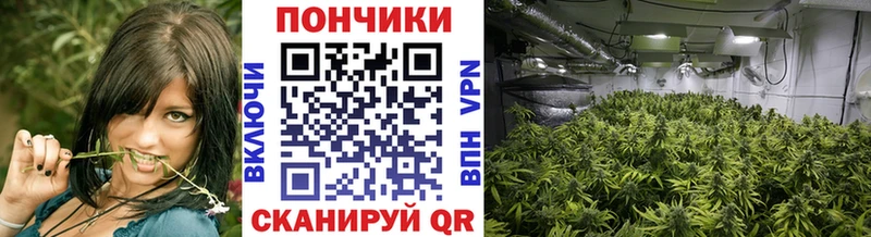 Конопля MAZAR  Тайга 